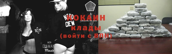 эйфоретик Арсеньев