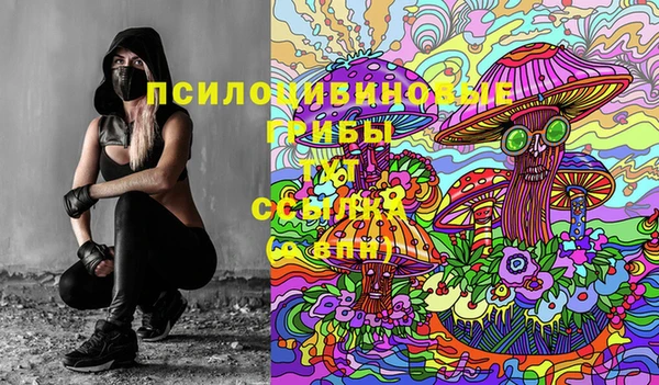 ALPHA PVP Алексин
