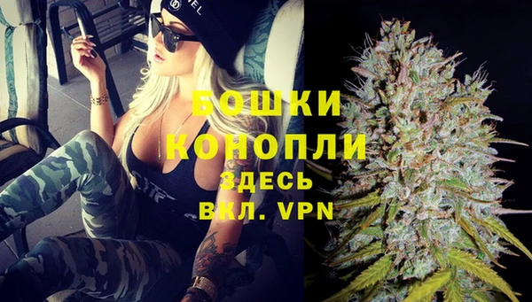 эйфоретик Арсеньев