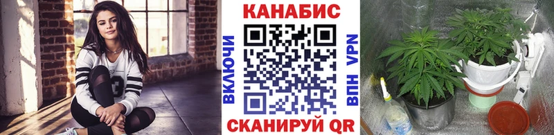 shop клад  Бодайбо  Шишки марихуана план 